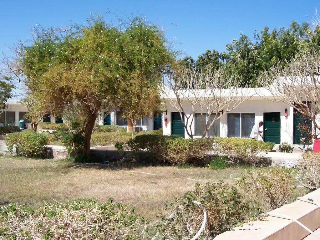 Nefertari Hotel Abu Simble Абу Симбел Екстериор снимка