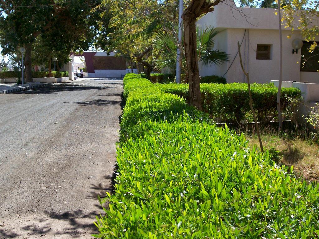 Nefertari Hotel Abu Simble Абу Симбел Екстериор снимка