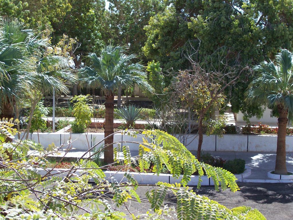 Nefertari Hotel Abu Simble Абу Симбел Екстериор снимка