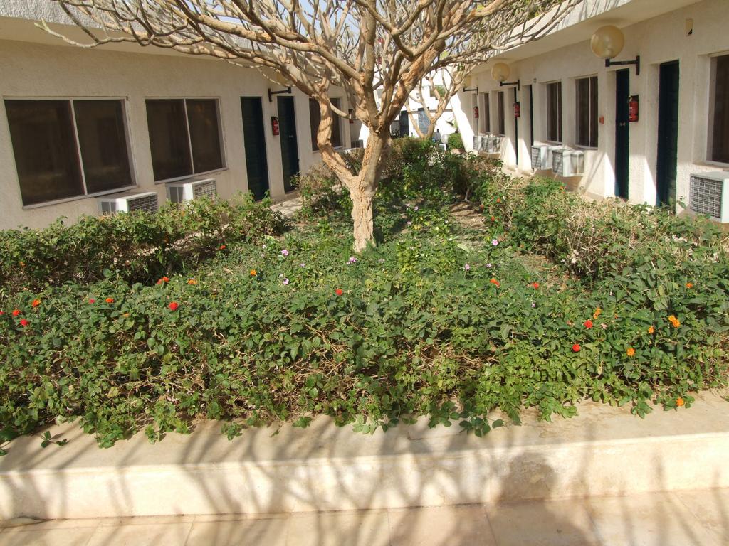 Nefertari Hotel Abu Simble Абу Симбел Екстериор снимка